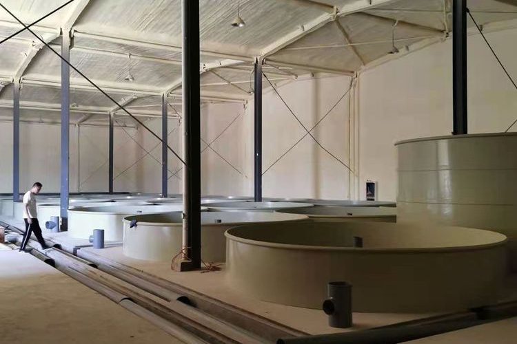 Recirculating aquaculture filtration system