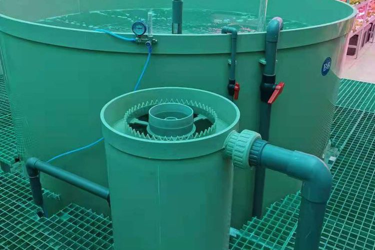 Recirculating aquaculture filtration system